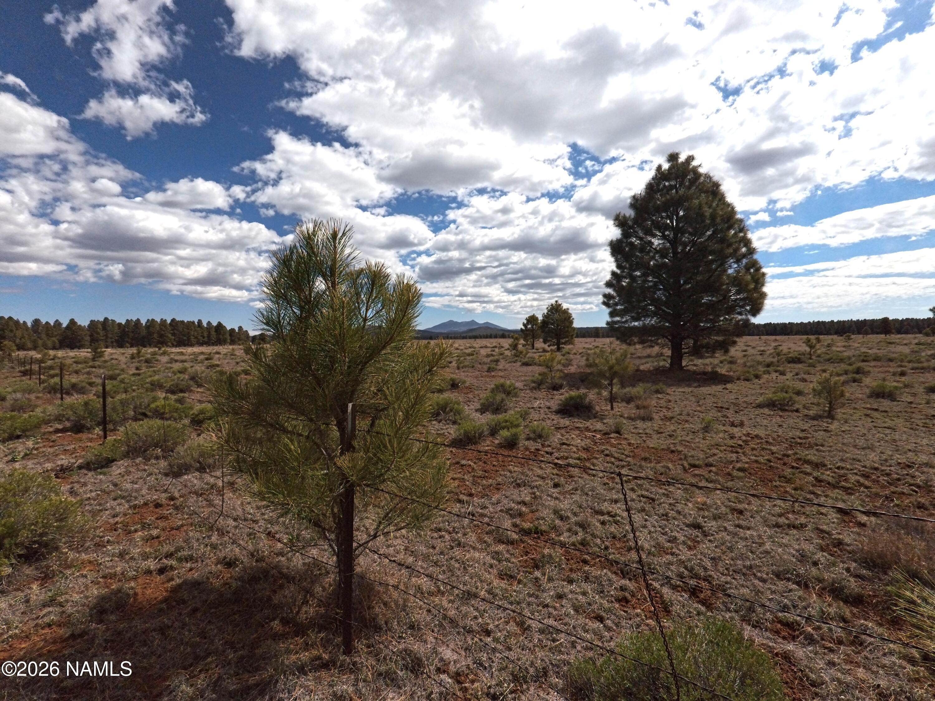 12565 Camp Kimball Road Parks, AZ 86005 - Photo 23 of 60 IMG_20260501_100926_258