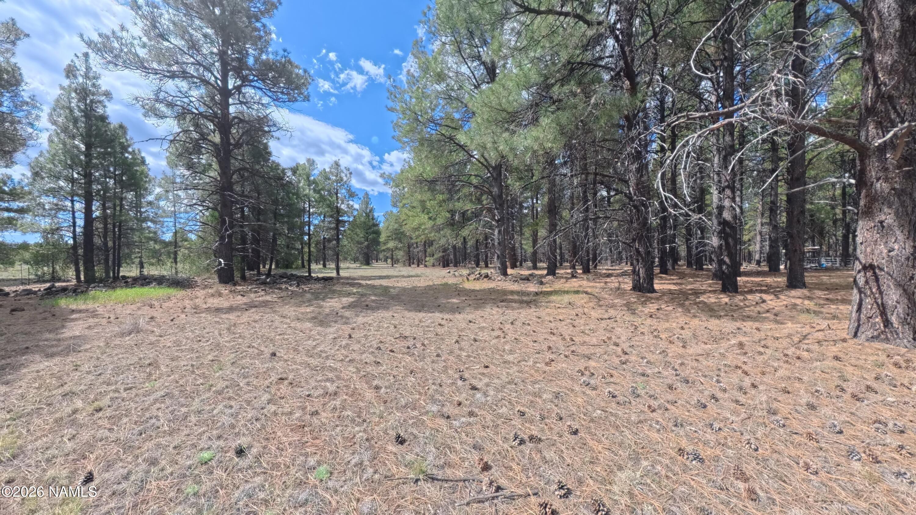 12565 Camp Kimball Road Parks, AZ 86005 - Photo 29 of 60 IMG_20260501_100417_00_175_2026-05-04_07