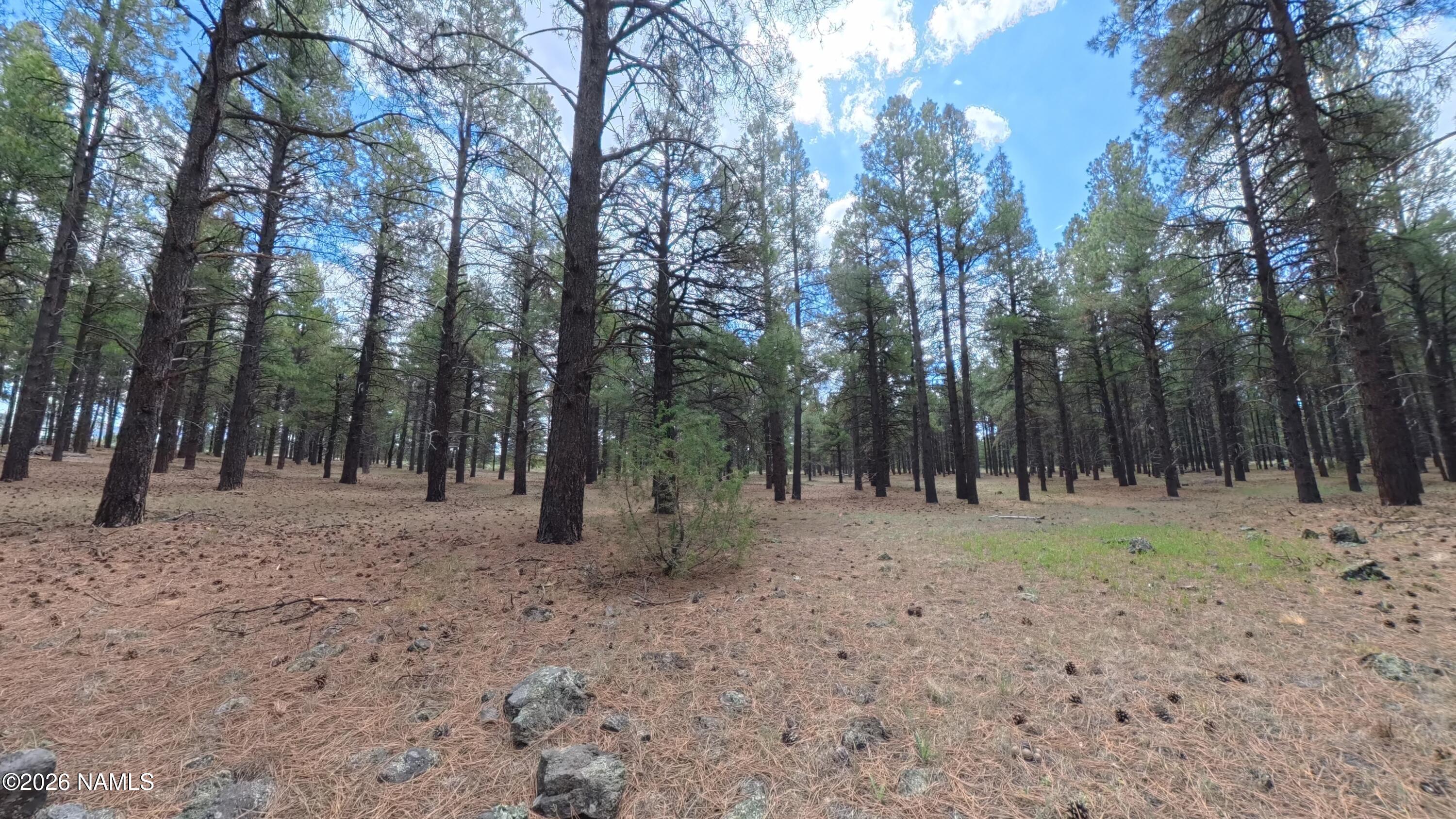 12565 Camp Kimball Road Parks, AZ 86005 - Photo 35 of 60 IMG_20260501_102426_00_187_2026-05-04_07
