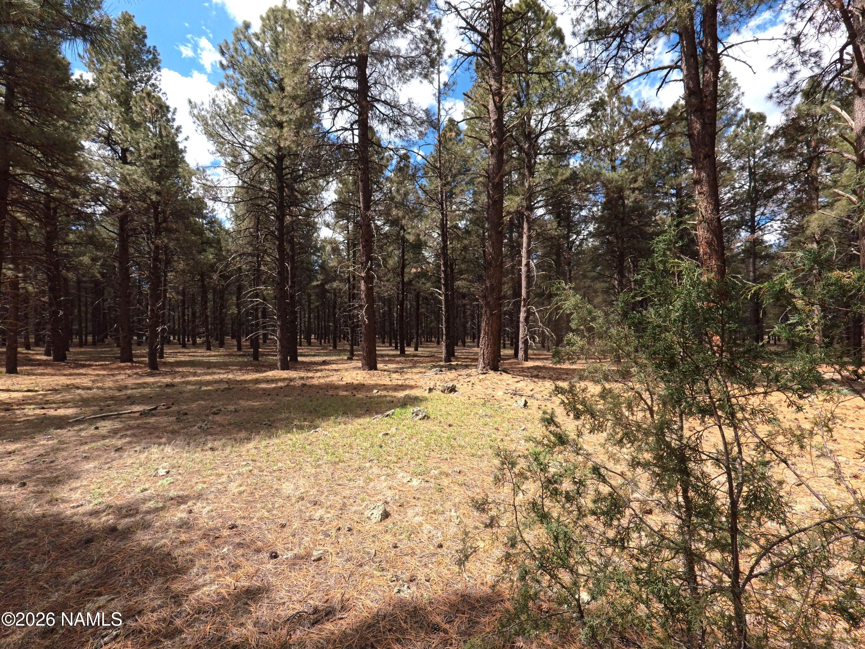 12565 Camp Kimball Road Parks, AZ 86005 - Photo 36 of 60 IMG_20260501_102504_270