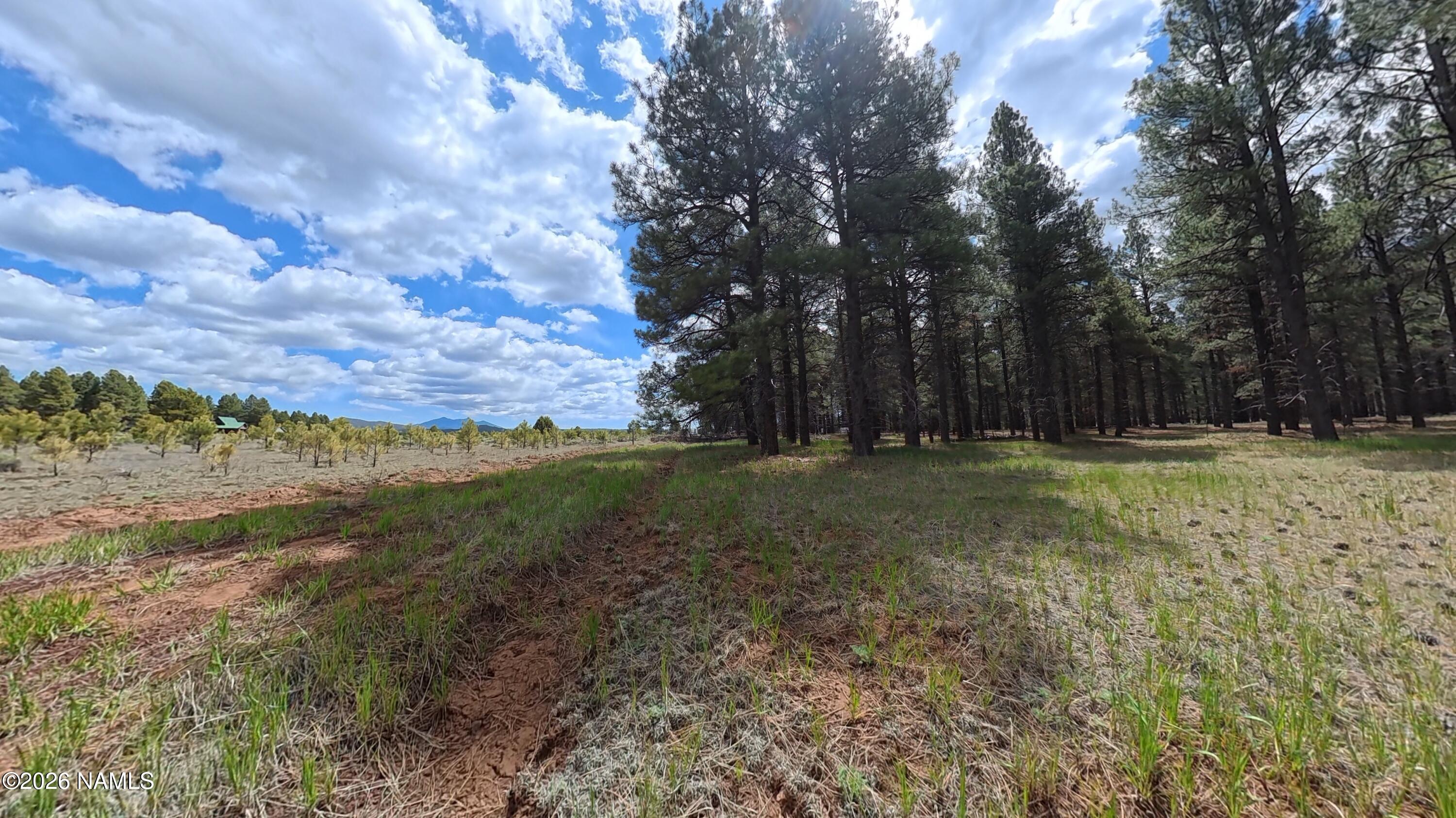 12565 Camp Kimball Road Parks, AZ 86005 - Photo 53 of 60 VID_20260501_104738_00_193_2026-05-04_11