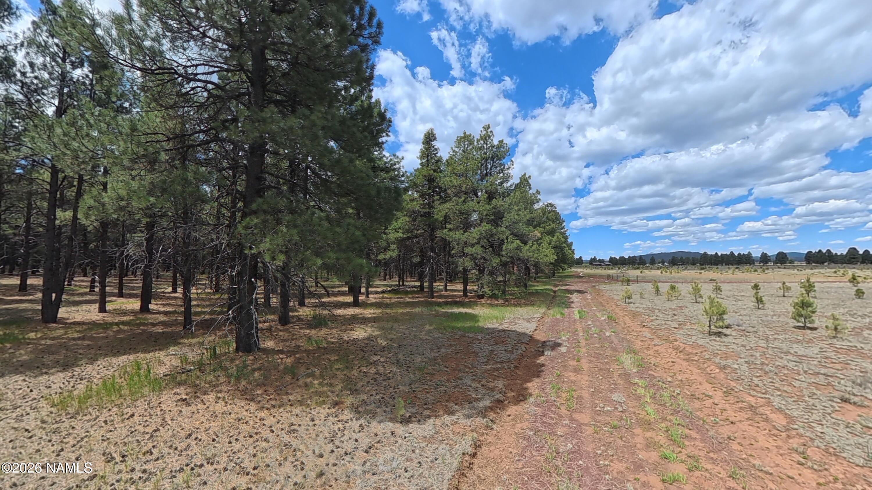 12565 Camp Kimball Road Parks, AZ 86005 - Photo 56 of 60 VID_20260501_104738_00_193_2026-05-04_11
