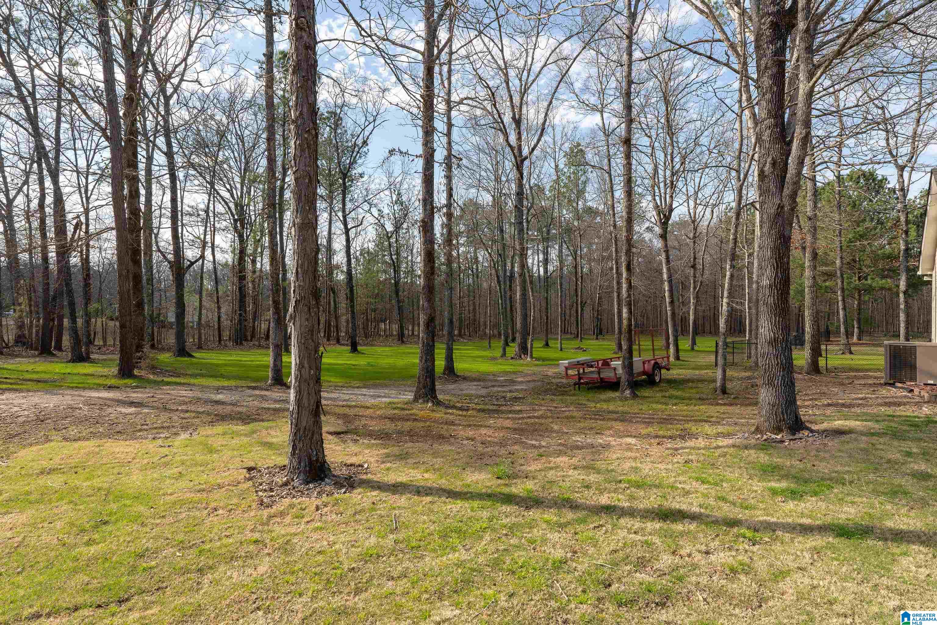 479 Lovejoy Road Ashville, AL 35953 - Photo 26 of 27