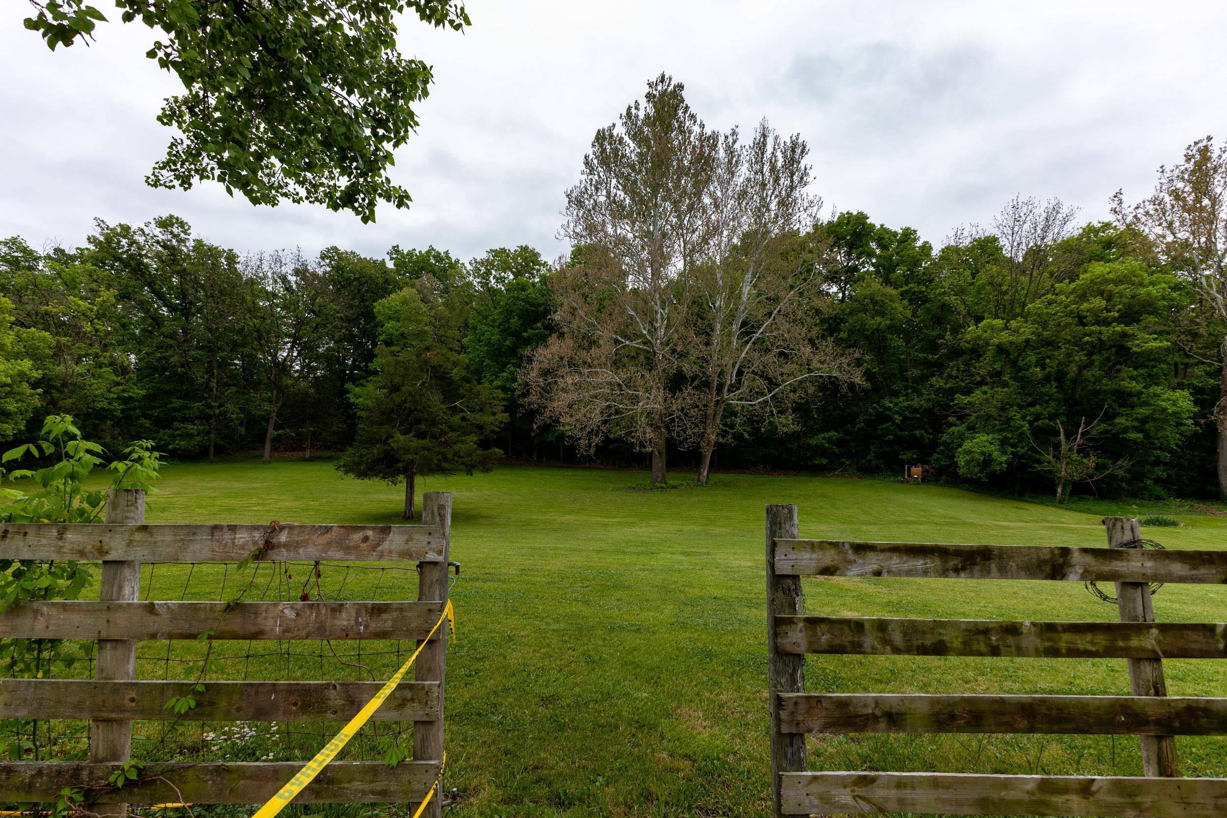 13896 Rockingham Pike Elkton, VA 22827 - Photo 11 of 60 a view of a park with large trees