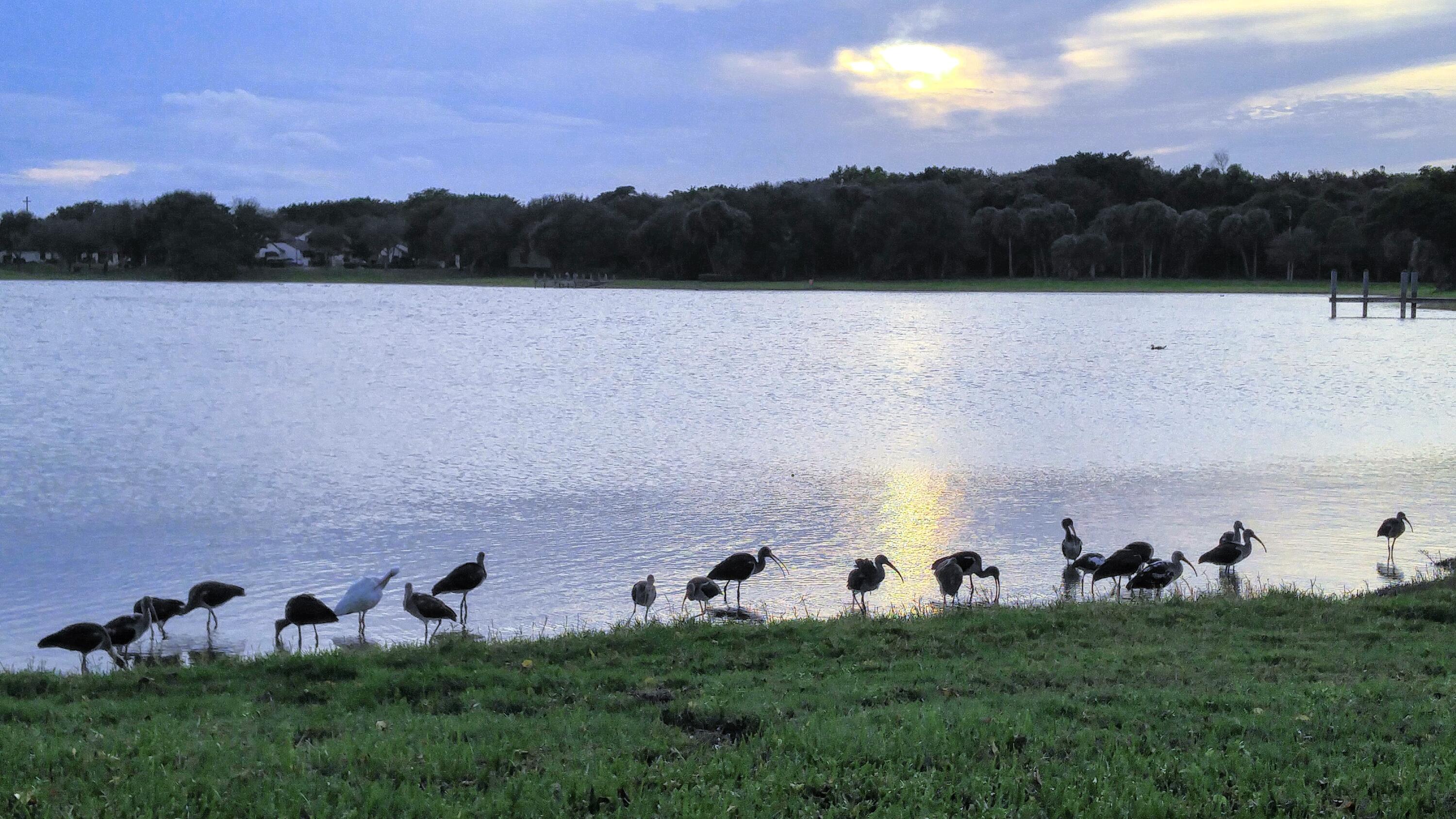 3130 Millwood Terrace, Unit 2160 Boca Raton, FL 33431 - Photo 31 of 34 a view of a lake with sunset view