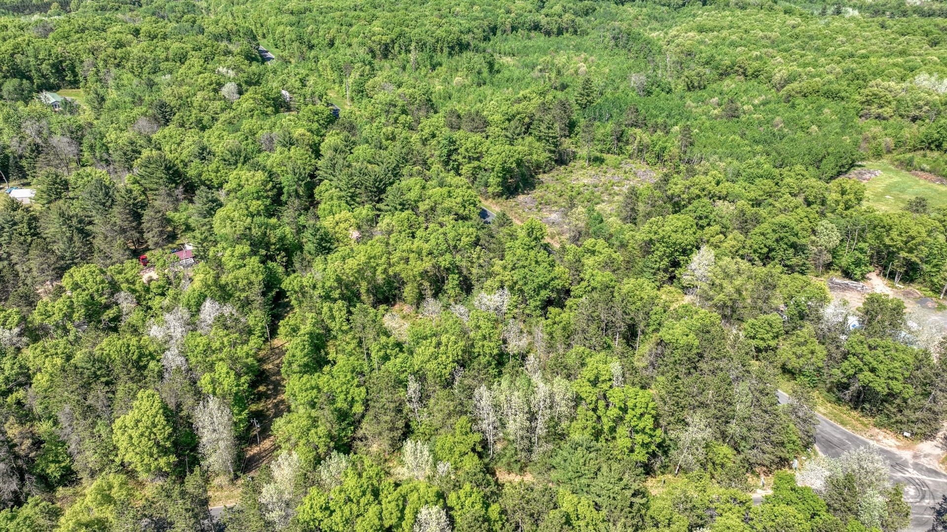 8667 Lakeside Road Willard, WI 54493 - Photo 7 of 11