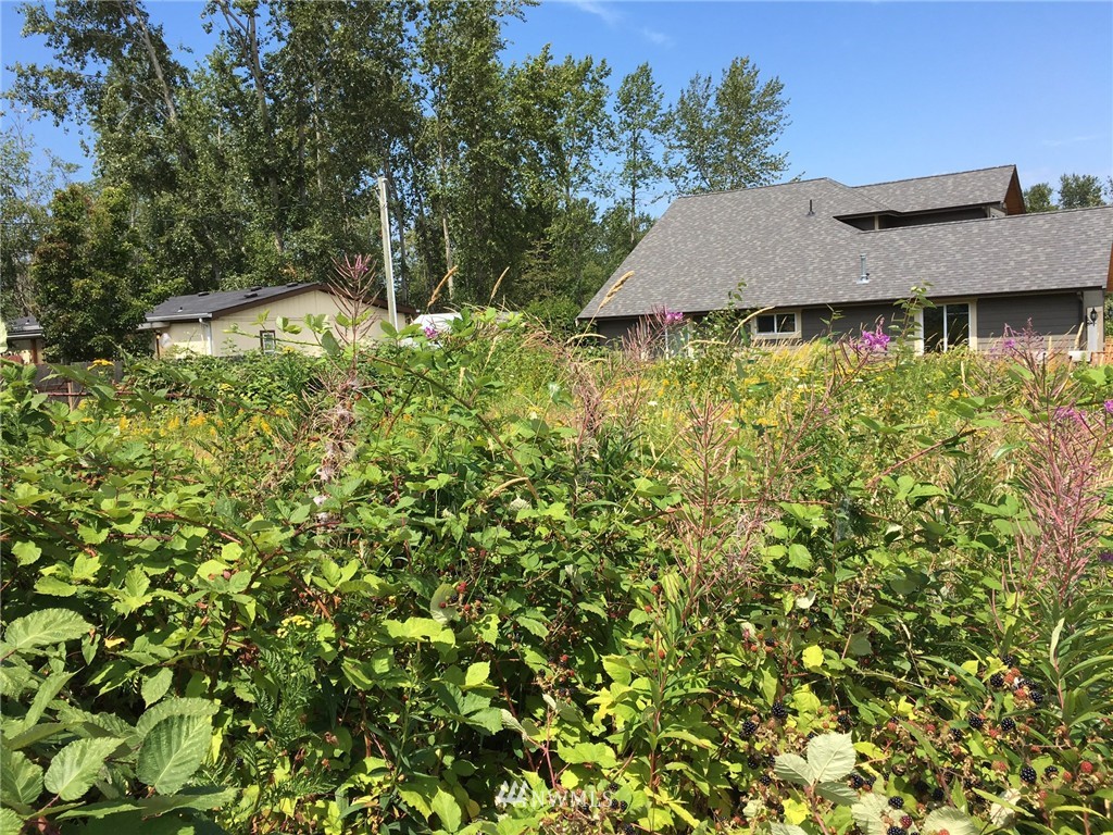 3241 McLeod Road Bellingham, WA 98225 - Photo 3 of 8 Gallery Image 3