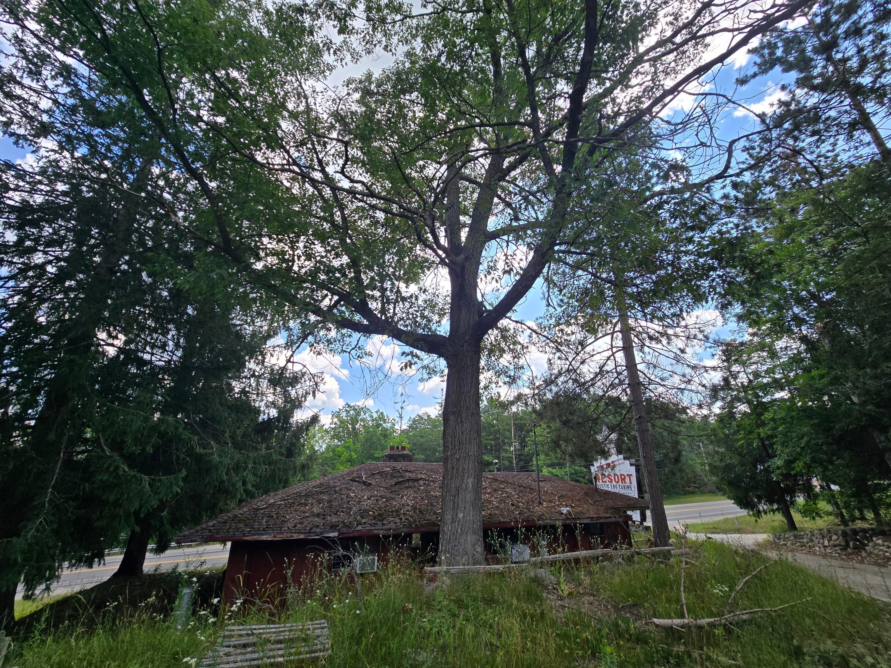 1330 South Mt Tom Road Mio, MI 48647 - Photo 17 of 63 20250710_123914