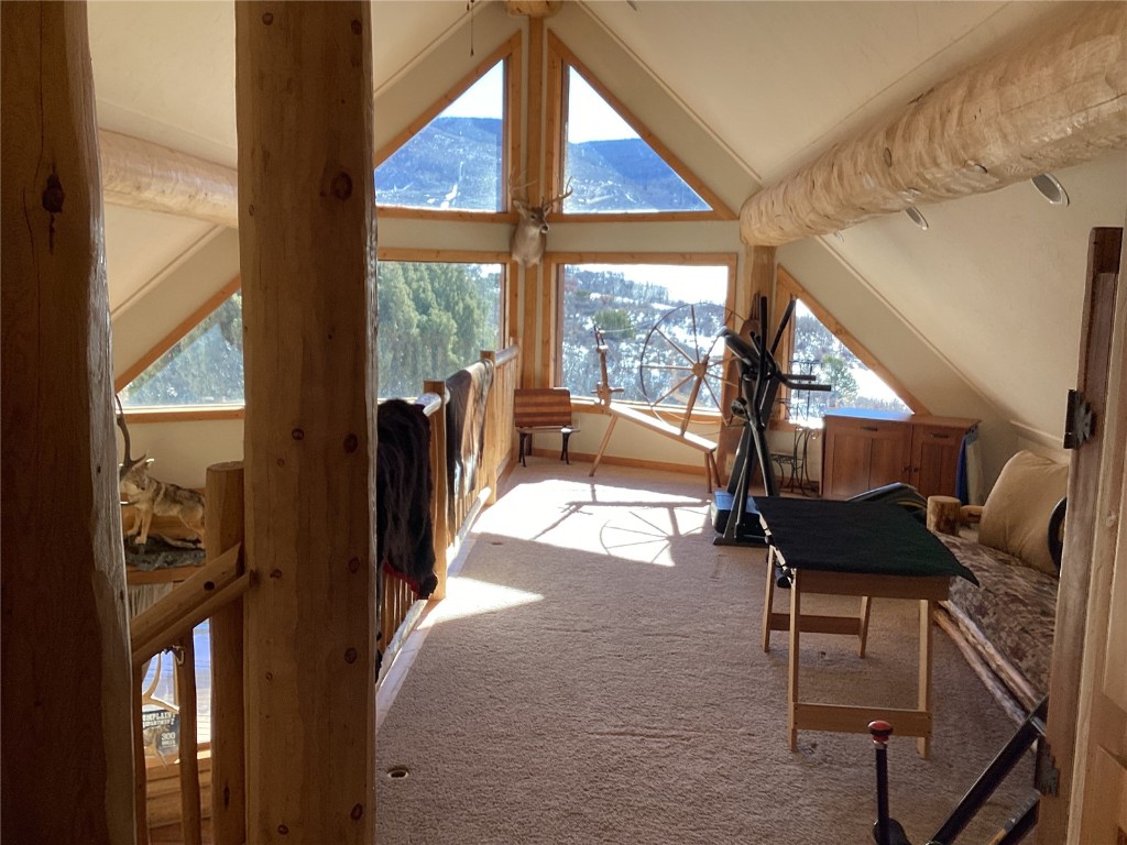 9073 54 7/10 Road Molina, CO 81646 - Photo 22 of 38