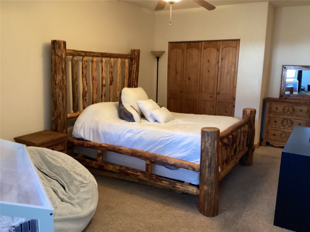 9073 54 7/10 Road Molina, CO 81646 - Photo 27 of 38 Carpeted bedroom with a ceiling fan and a closet