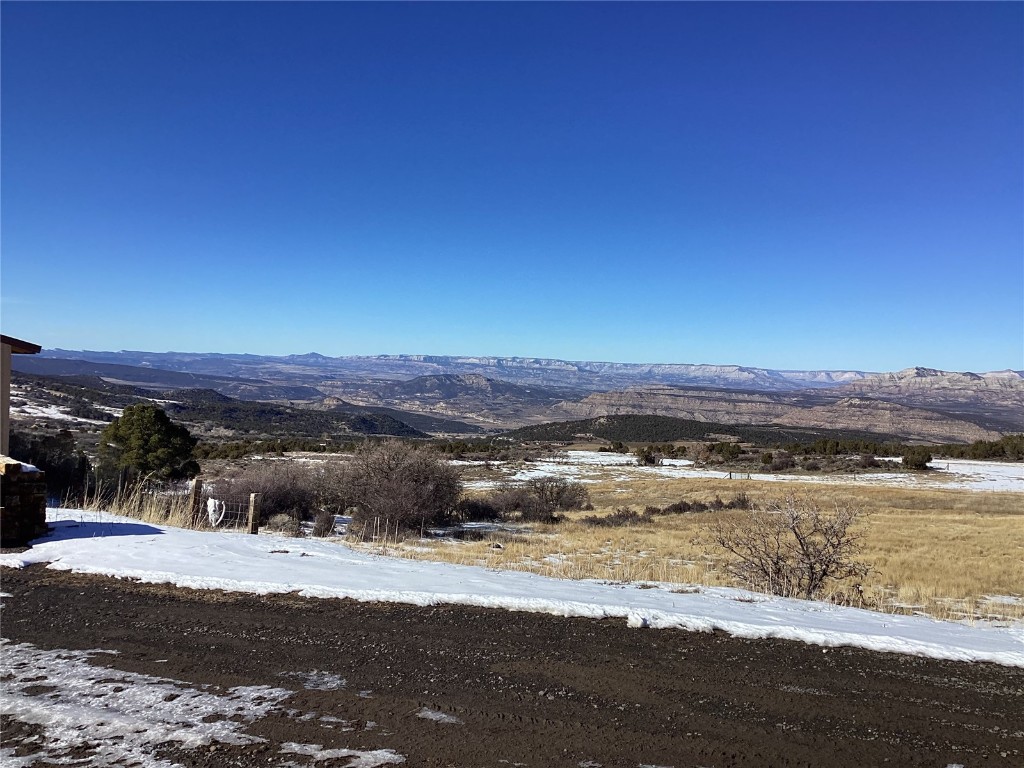 9073 54 7/10 Road Molina, CO 81646 - Photo 36 of 38 Mountain view