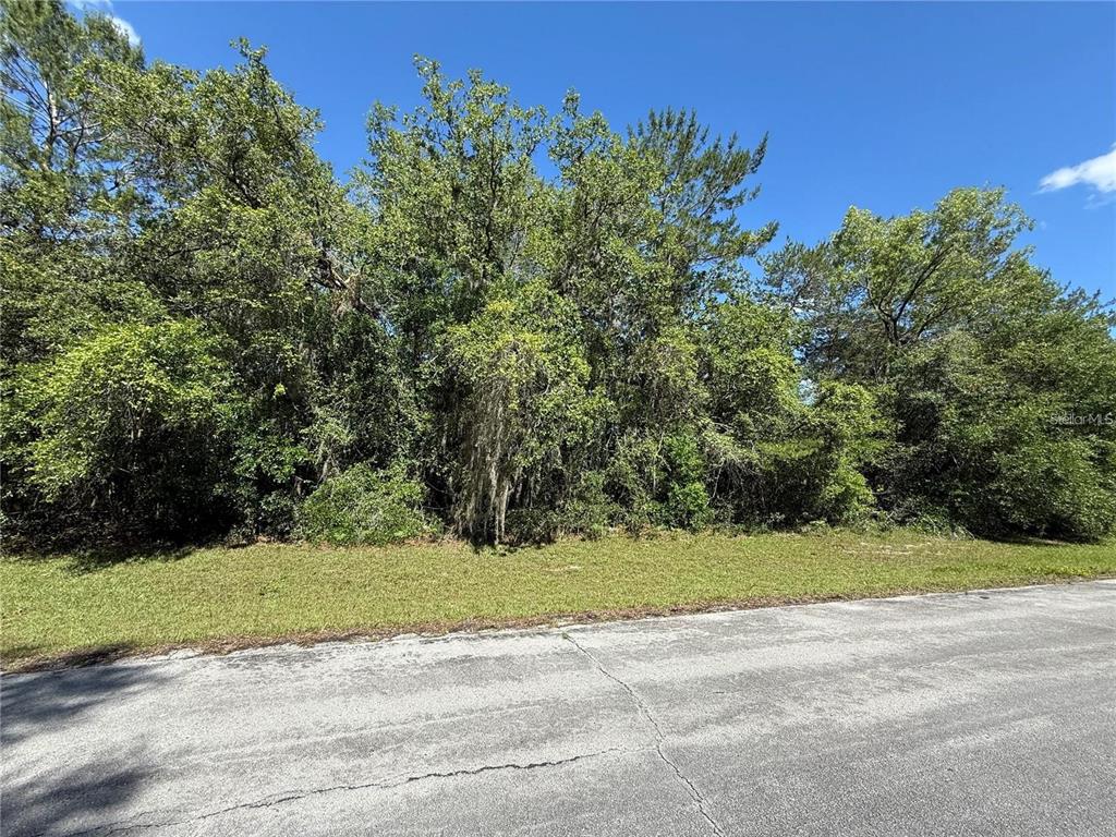 27 Southwest 150th Lane Road Ocala, FL 34473 - Photo 1 of 1 a view of a yard with a house in the background