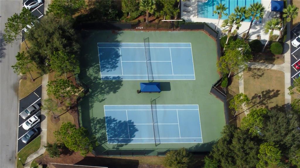 33423 Azalea Ridge Drive Wesley Chapel, FL 33545 - Photo 78 of 84