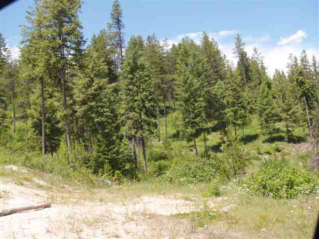 Xx Rose Hill Road, Unit 19 Springdale, WA 99173 - Photo 2 of 4