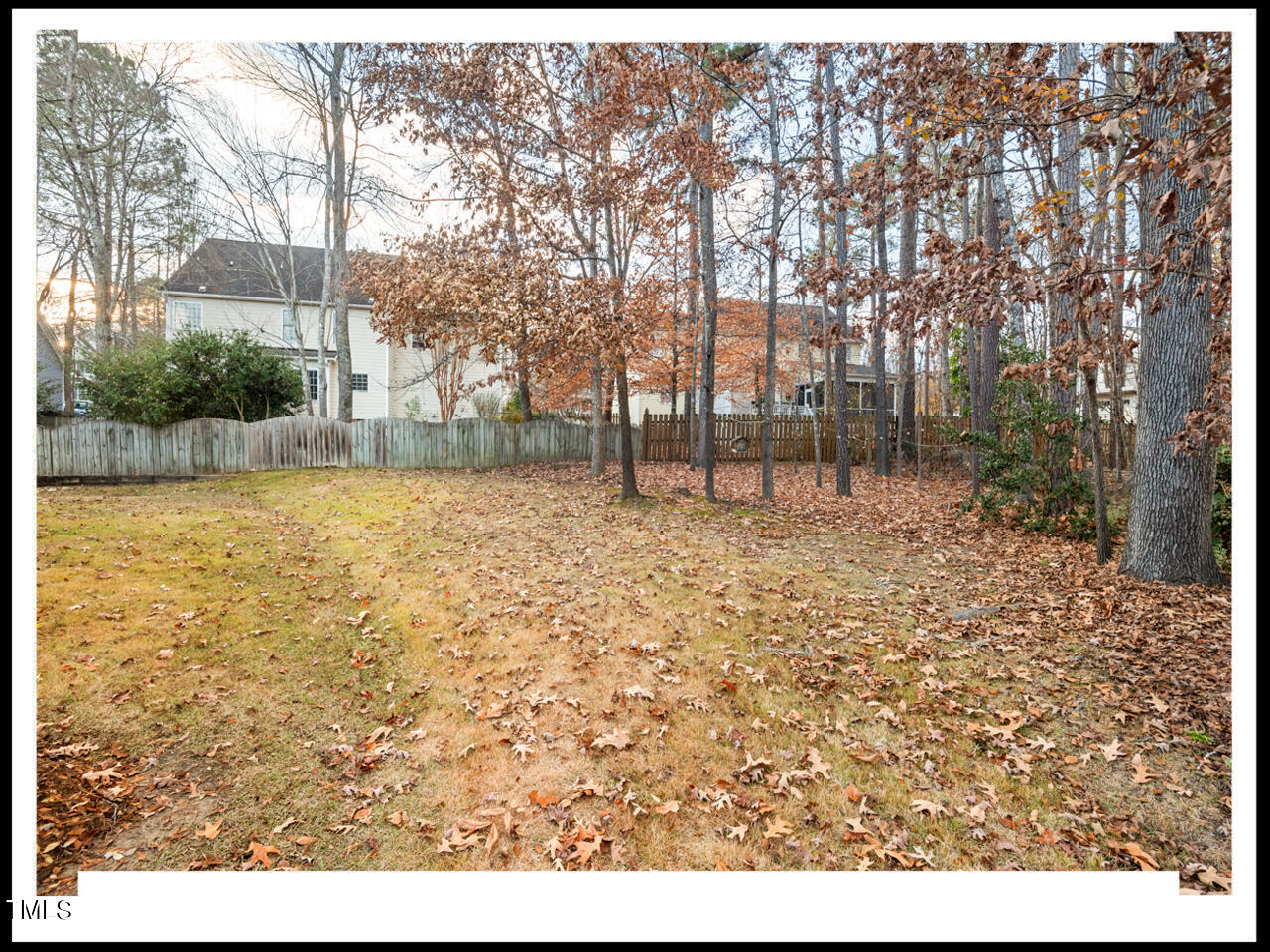 8214 Morrell Lane Durham, NC 27713 - Photo 44 of 48 a view of a yard with large trees