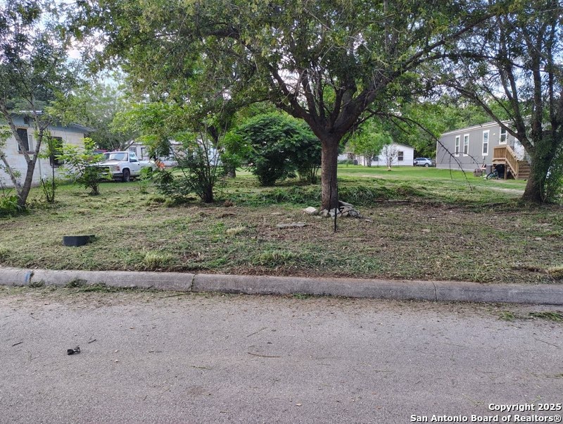 a view of a yard with tree s