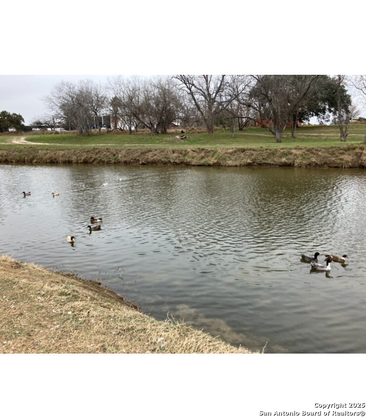 406 Patrick Avenue Pleasanton, TX 78064 - Photo 12 of 18 a black and white photo of a lake
