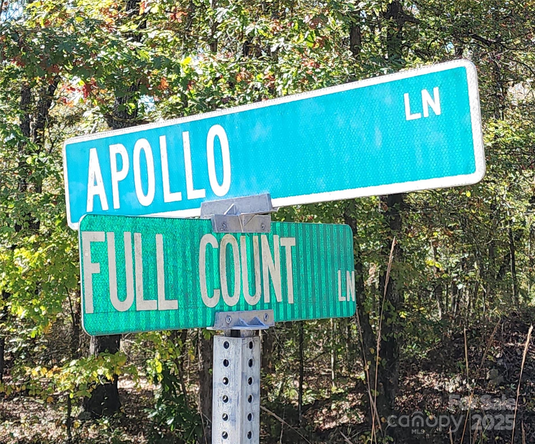 1062 Full Count Lane Lancaster, SC 29720 - Photo 7 of 47 Gallery Image 7