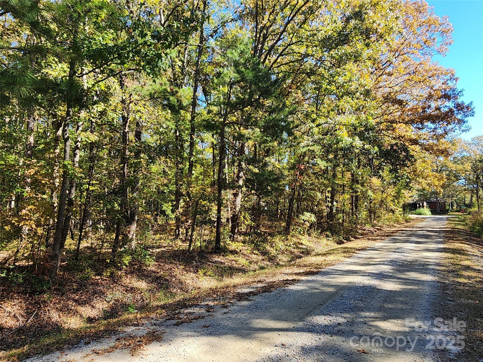 1062 Full Count Lane Lancaster, SC 29720 - Photo 8 of 47 Gallery Image 8