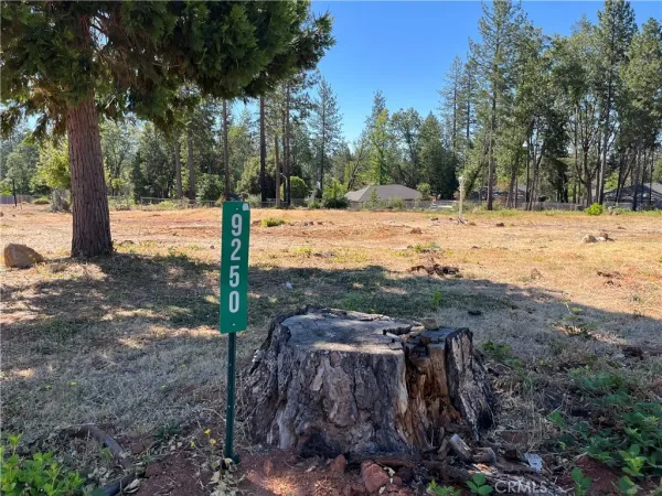$19,900 | 9250 Skyway, Paradise, CA 95969