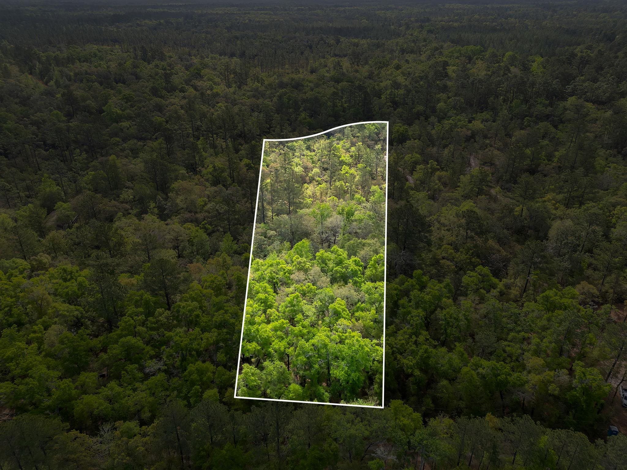 Xxx Clay Revell Road Sopchoppy, FL 32358 - Photo 1 of 6