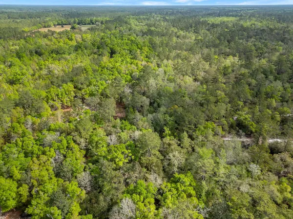 $45,000 | Xxx Clay Revell Road, Sopchoppy, FL 32358