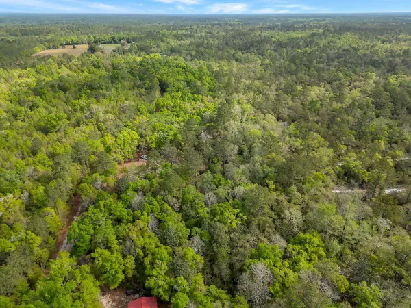$45,000 | Xxx Clay Revell Road, Sopchoppy, FL 32358