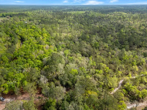 $45,000 | Xxx Clay Revell Road, Sopchoppy, FL 32358