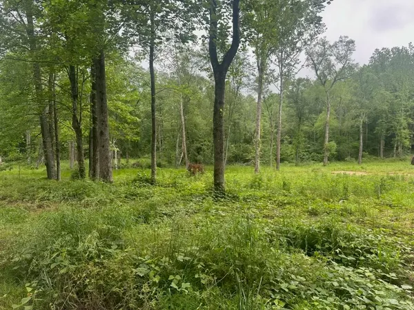 a view of outdoor space with green field and trees