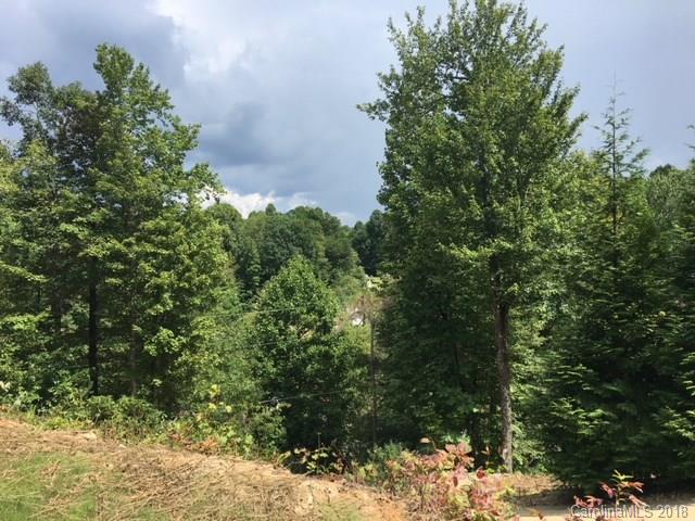 0 Babb Road, Unit LOT 1 & 2 Rosman, NC 28772 - Photo 6 of 10 Gallery Image 6