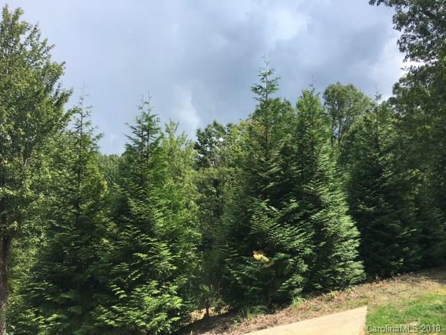 0 Babb Road, Unit LOT 1 & 2 Rosman, NC 28772 - Photo 8 of 10 Gallery Image 8