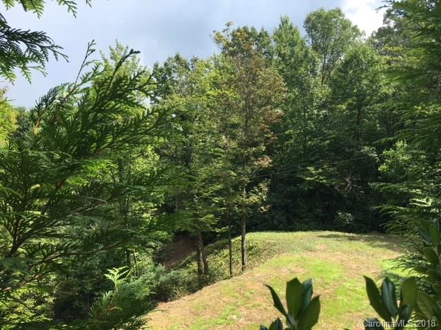 0 Babb Road, Unit LOT 1 & 2 Rosman, NC 28772 - Photo 9 of 10 Gallery Image 9