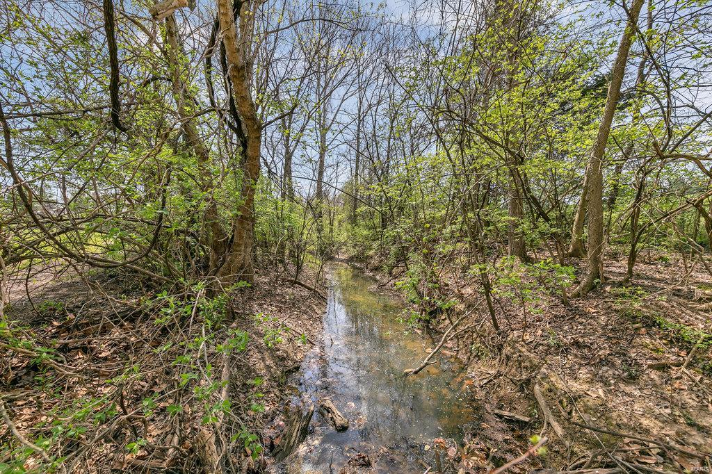 3164 Steppig Road Columbia, IL 62236 - Photo 54 of 75