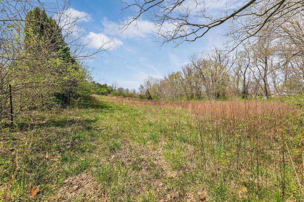 3164 Steppig Road Columbia, IL 62236 - Photo 55 of 75