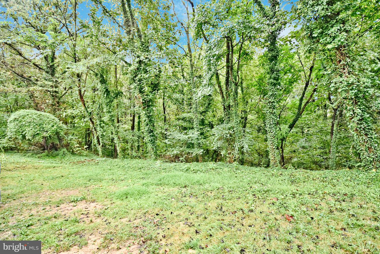 1323 Old Piscataway Road Fort Washington, MD 20744 - Photo 30 of 30 Exterior (Rear)