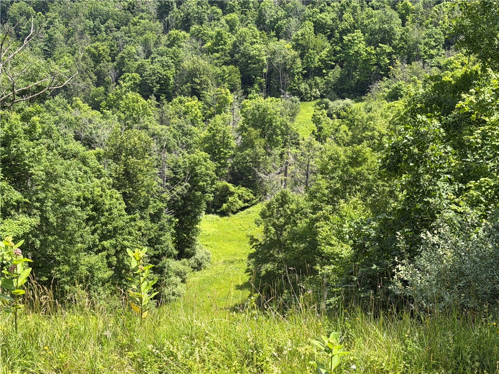Vl Catatunk Road, Unit R Canisteo, NY 14823 - Photo 29 of 50