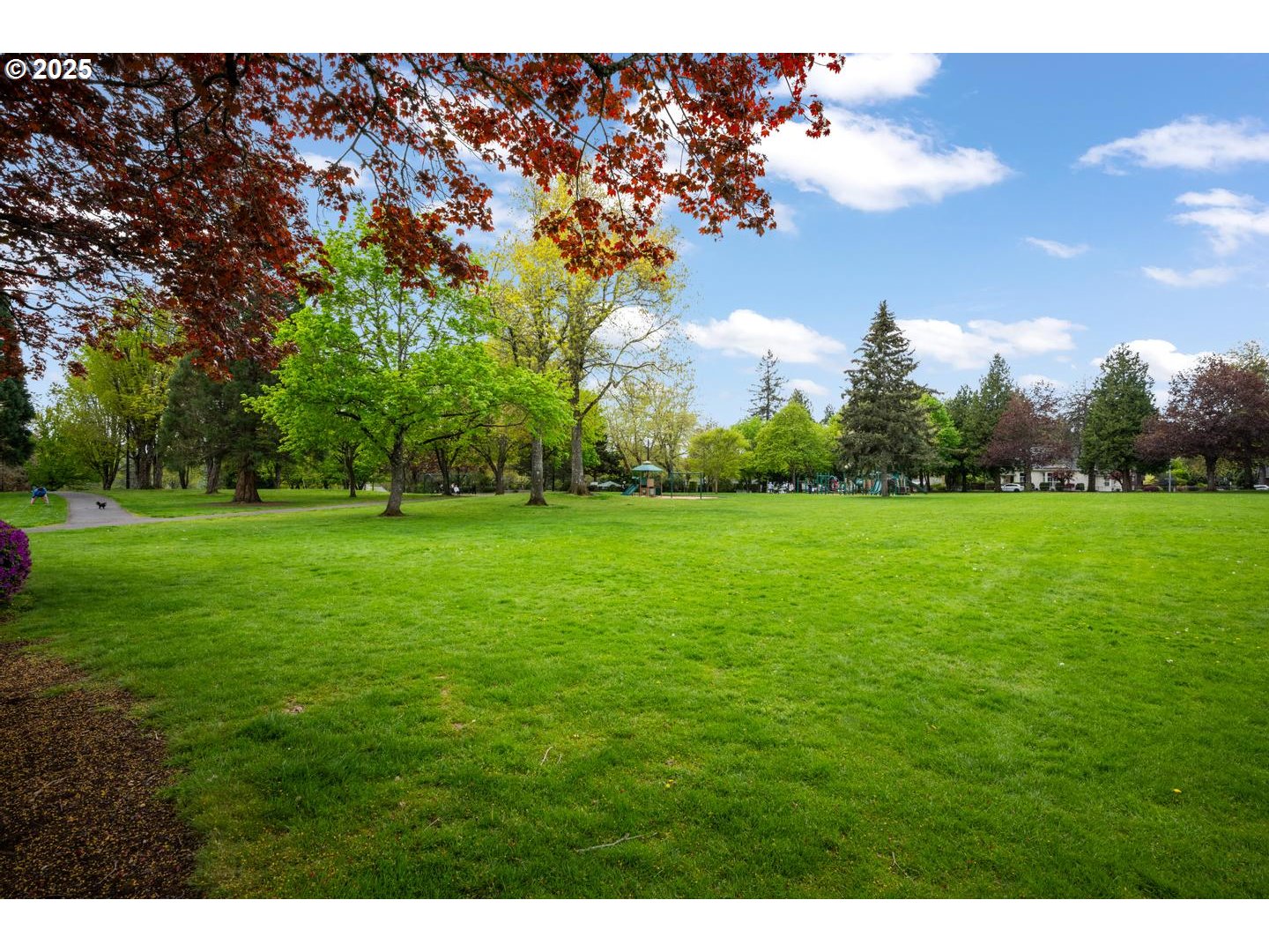 2000 Northwest 7th Place Gresham, OR 97030 - Photo 31 of 34 a backyard of a house with lots of green space