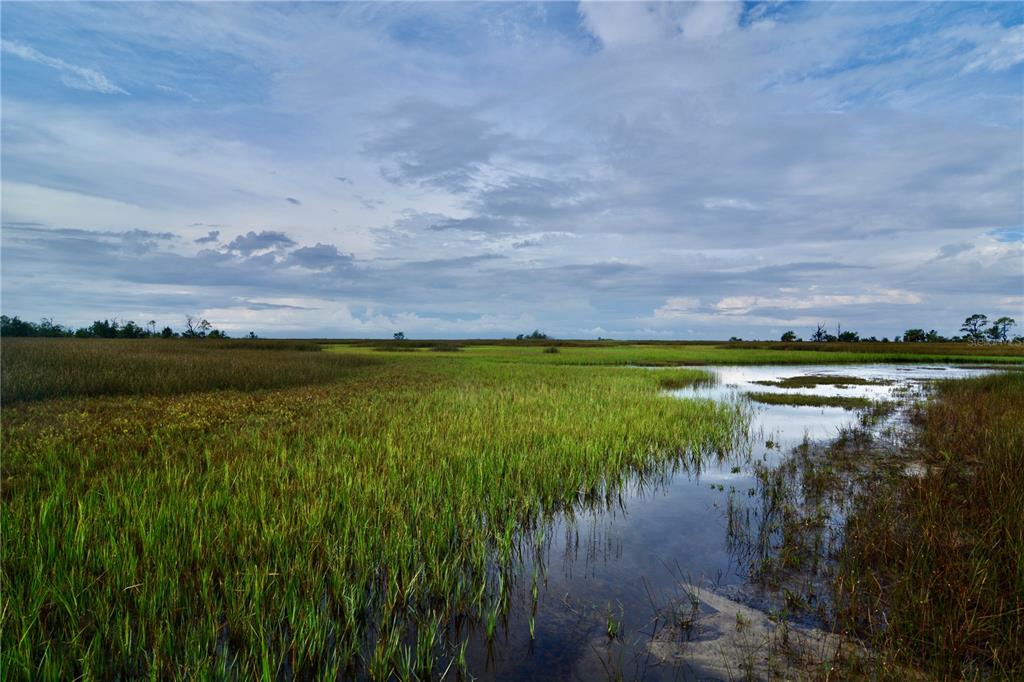 0 Lots 18 19 Adams Beach Road Perry, FL 32348 - Photo 12 of 25