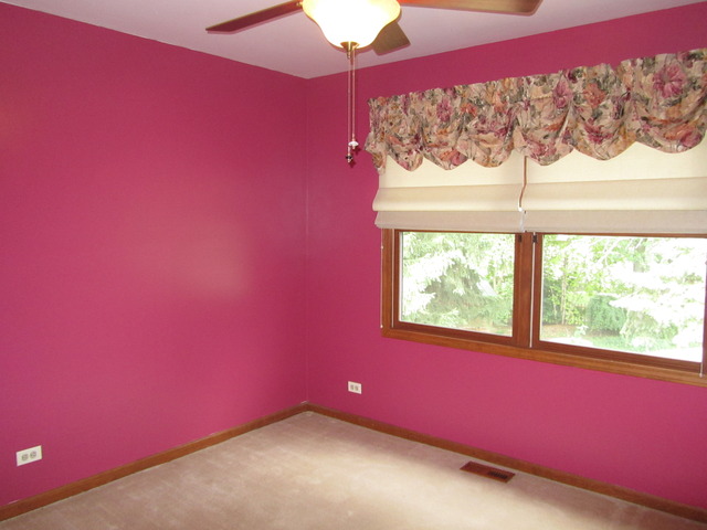 N431 Peter Road Winfield, IL 60190 - Photo 14 of 24