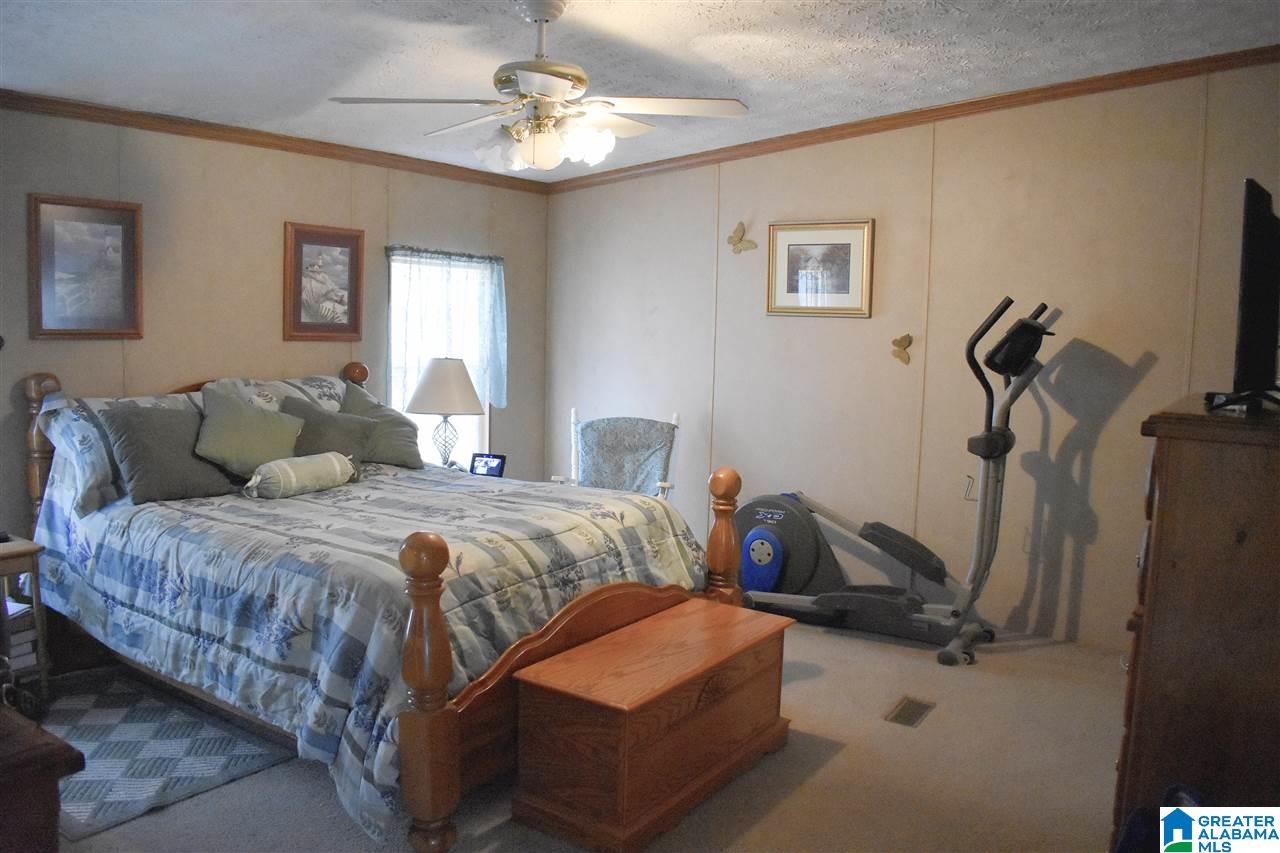 49 Jim Bagwell Road Empire, AL 35063 - Photo 8 of 16