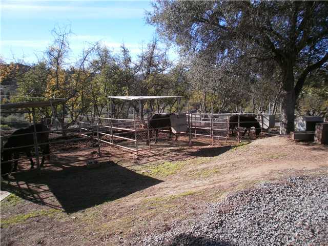 30532 Mesa Crest Road Valley Center, CA 92082 - Photo 16 of 20 Gallery Image 16