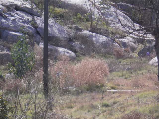 30532 Mesa Crest Road Valley Center, CA 92082 - Photo 19 of 20 Gallery Image 19