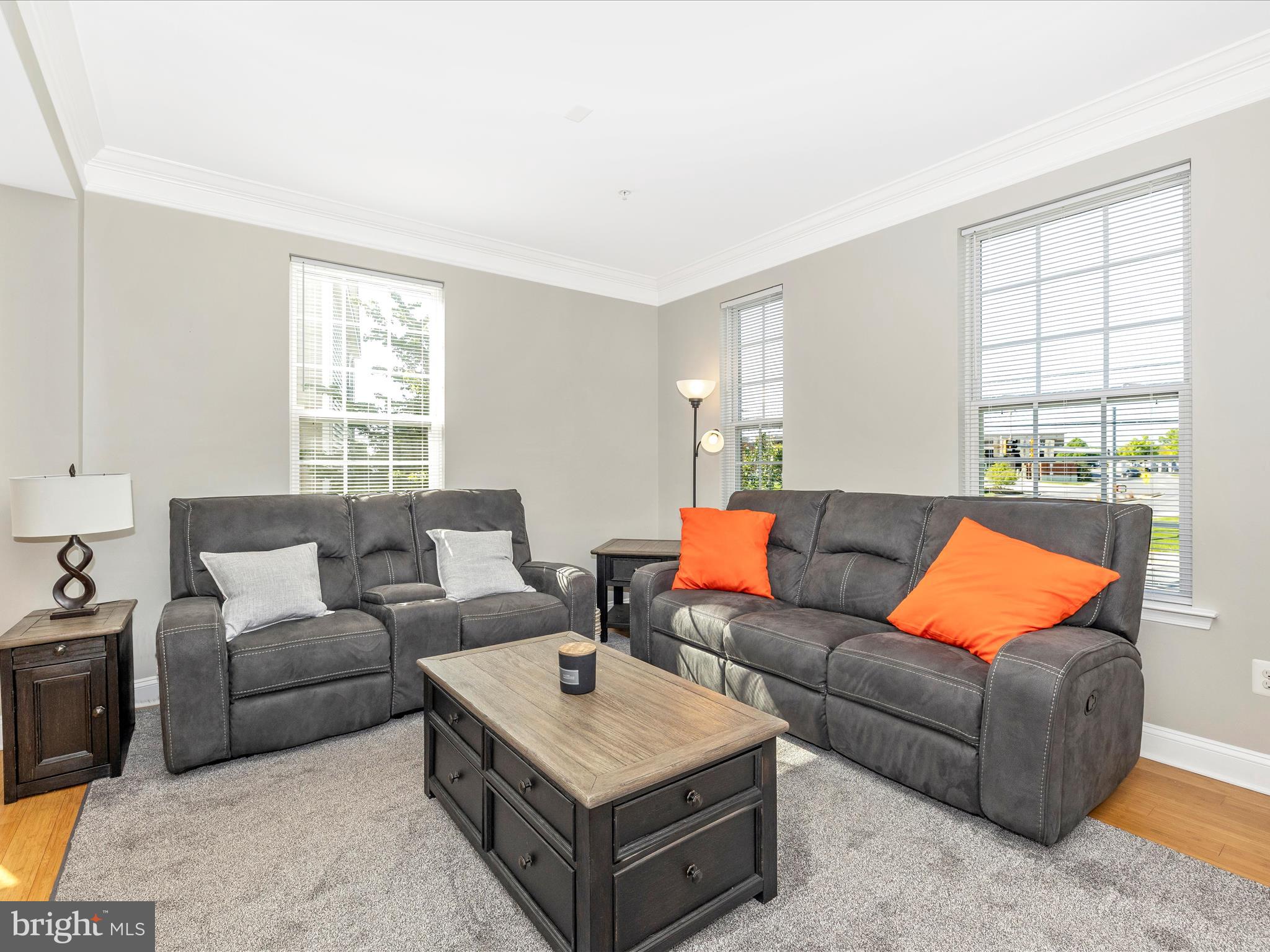 7801 Wormans Mill Road Frederick, MD 21701 - Photo 14 of 35 a living room with furniture a rug and a window