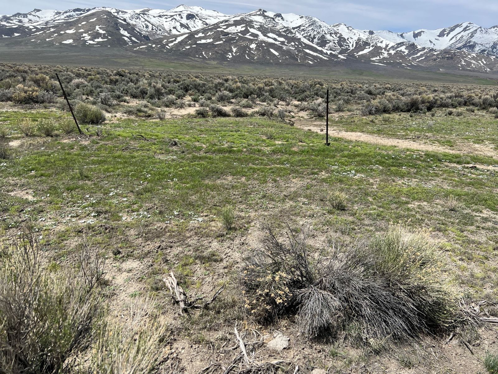 Tbd South Clover Valley Road Wells, NV 89835 - Photo 9 of 13