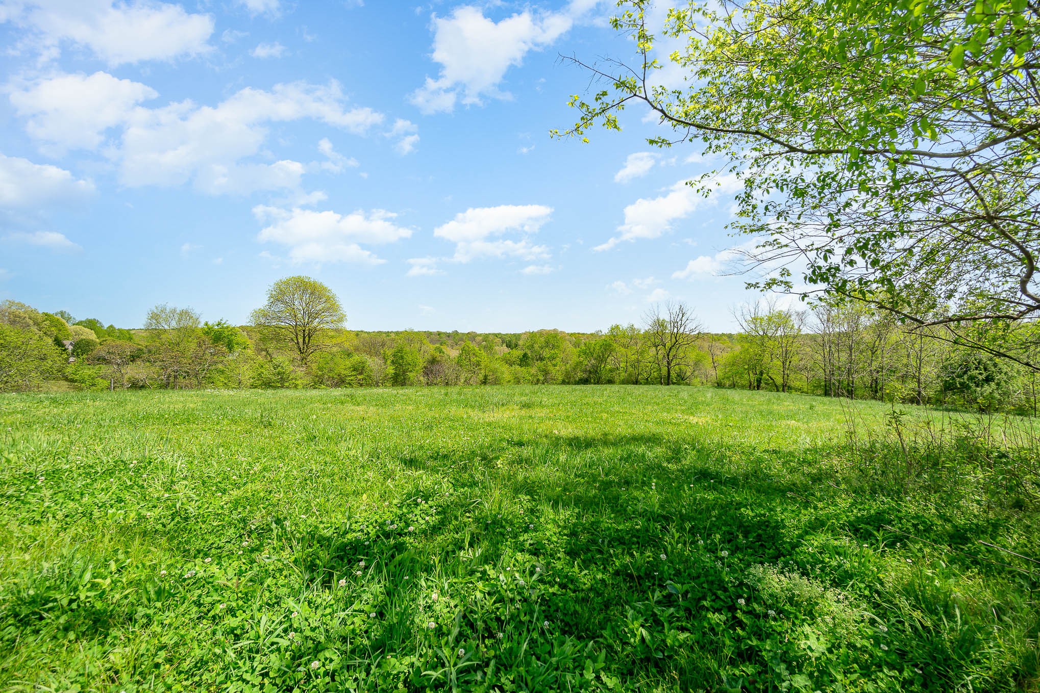 8015 Shoals Branch Road Primm Springs, TN 38476 - Photo 1 of 13 a view of an outdoor space and a yard
