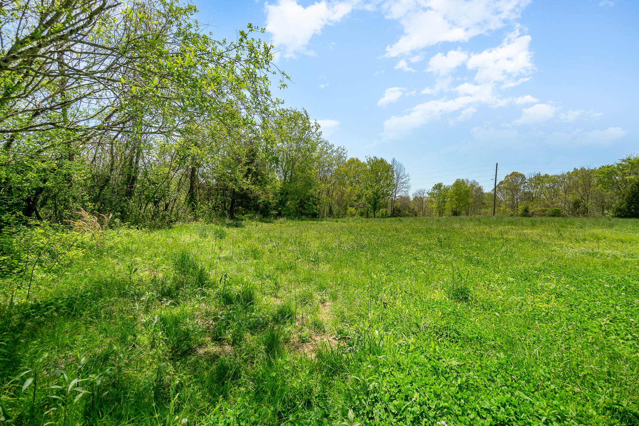 8015 Shoals Branch Road Primm Springs, TN 38476 - Photo 11 of 13 a view of a green field with wooden fence
