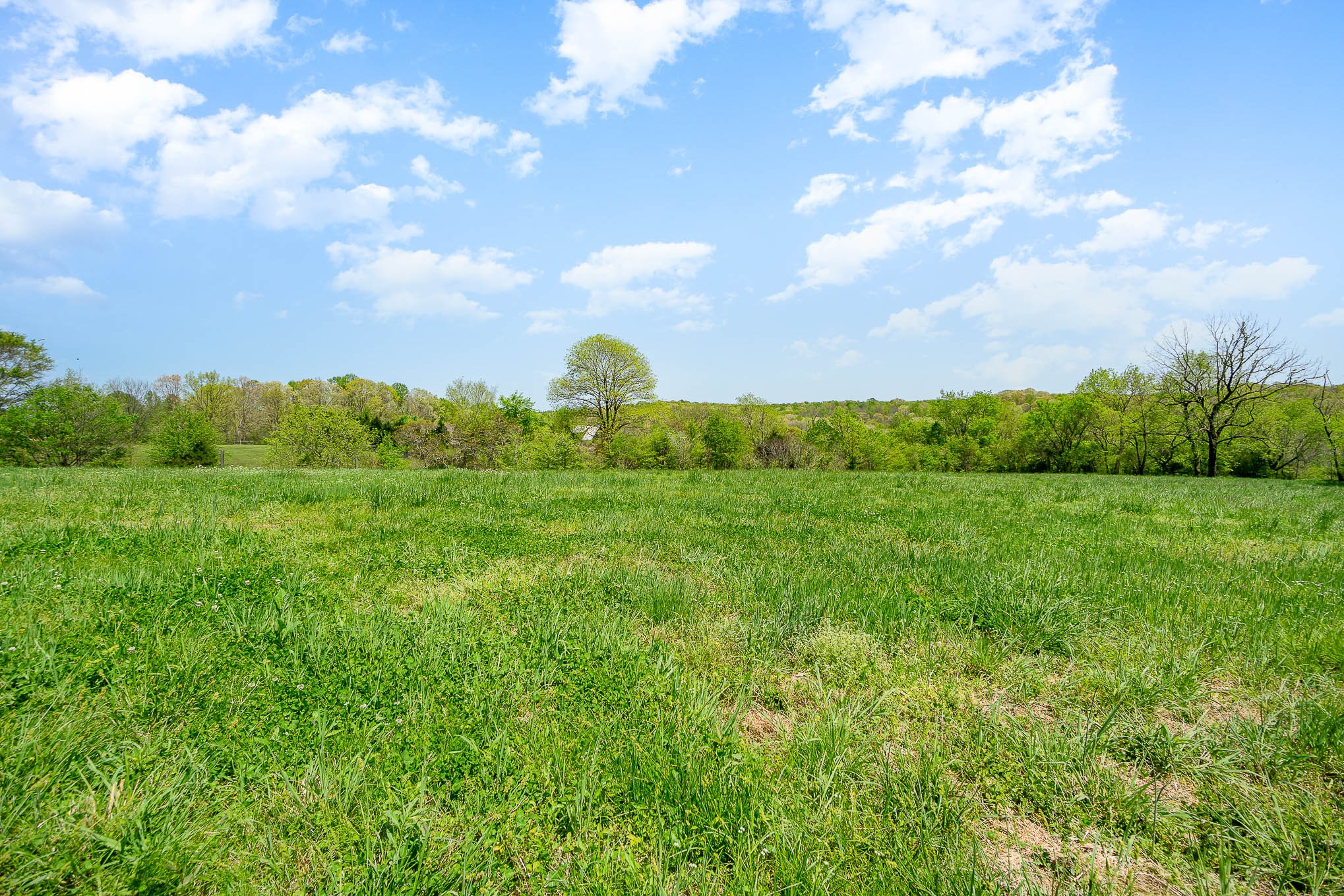 8015 Shoals Branch Road Primm Springs, TN 38476 - Photo 12 of 13 a view of a city