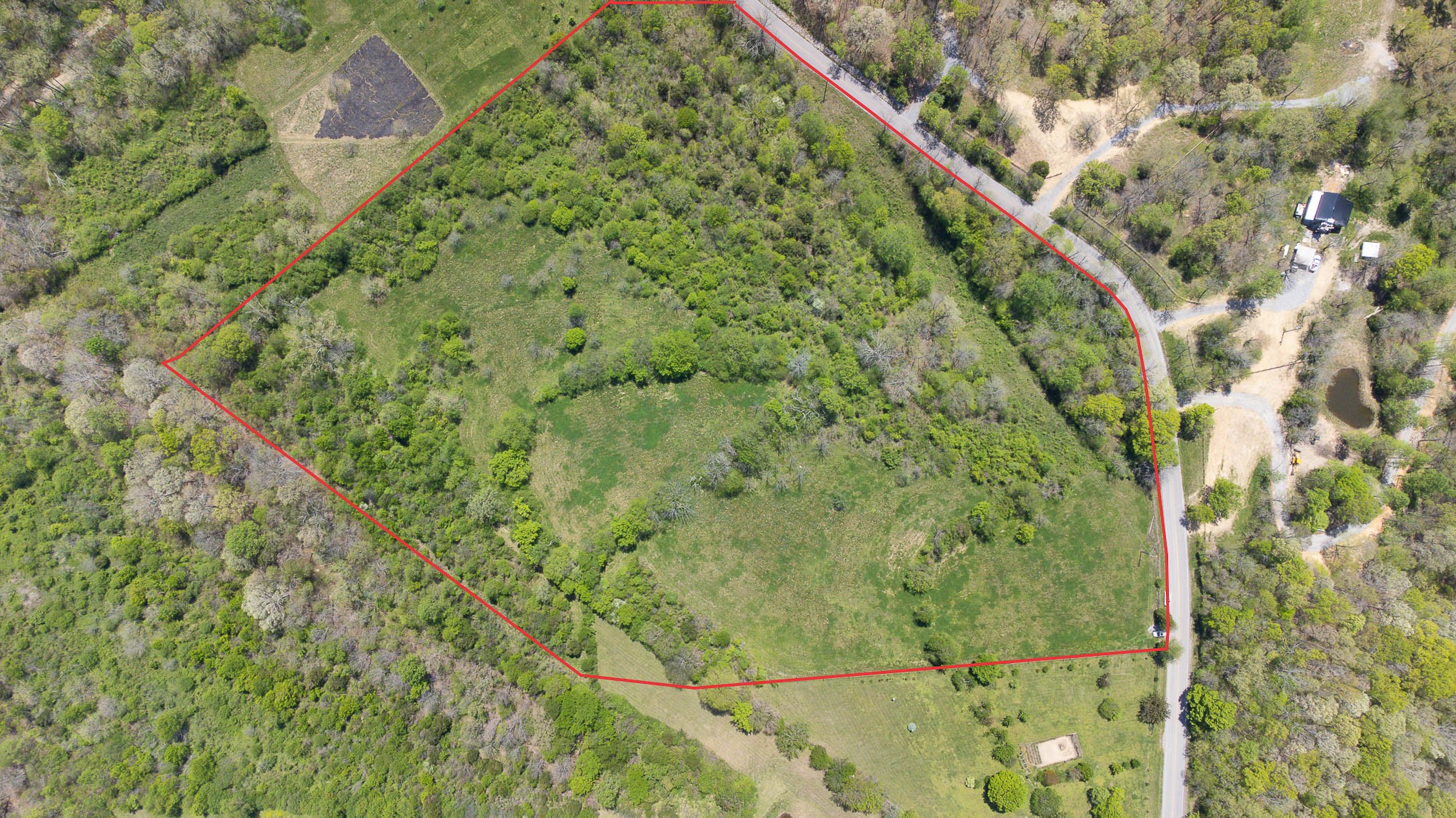8015 Shoals Branch Road Primm Springs, TN 38476 - Photo 2 of 13 a view of a forest with a tree