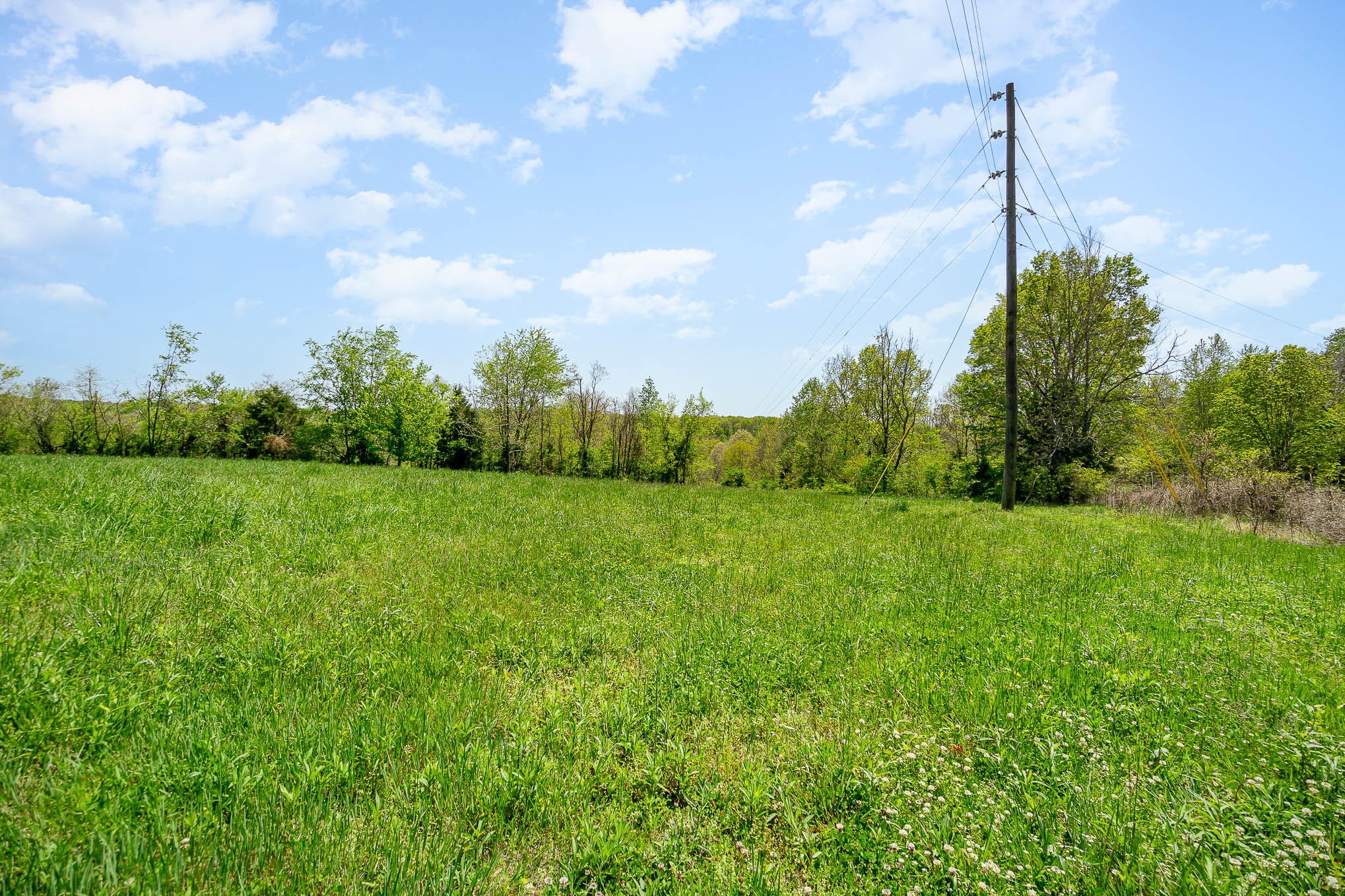 8015 Shoals Branch Road Primm Springs, TN 38476 - Photo 5 of 13 a green field with view of trees in the background