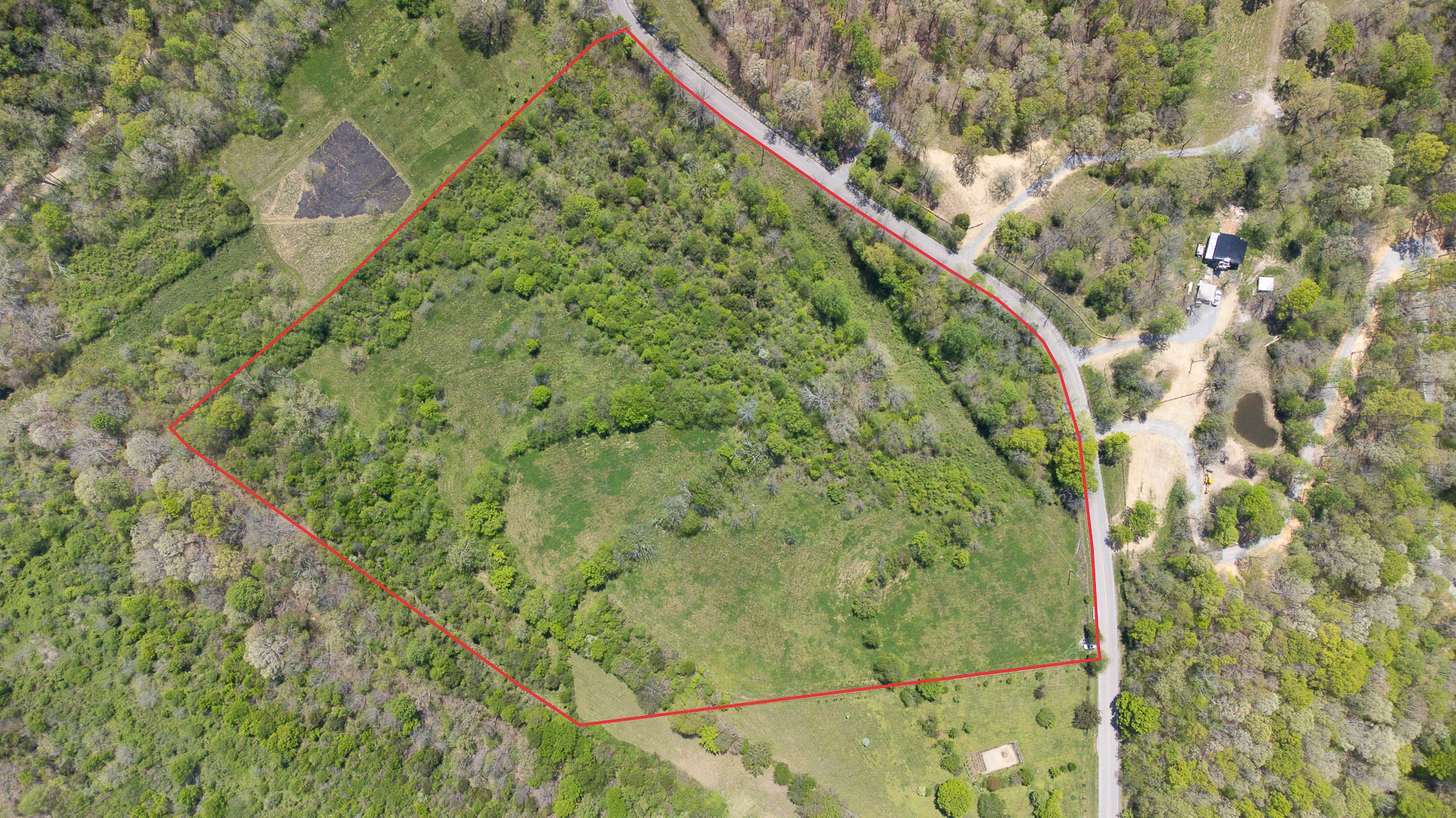 8015 Shoals Branch Road Primm Springs, TN 38476 - Photo 10 of 13 a view of a yard with a plants of the house